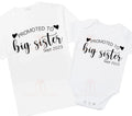 Promoted to Big Sister custom Pregnancy announcement baby bodysuit outfit / t-shirt