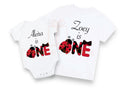 1st birthday ladybird baby bodysuit or tshirt
