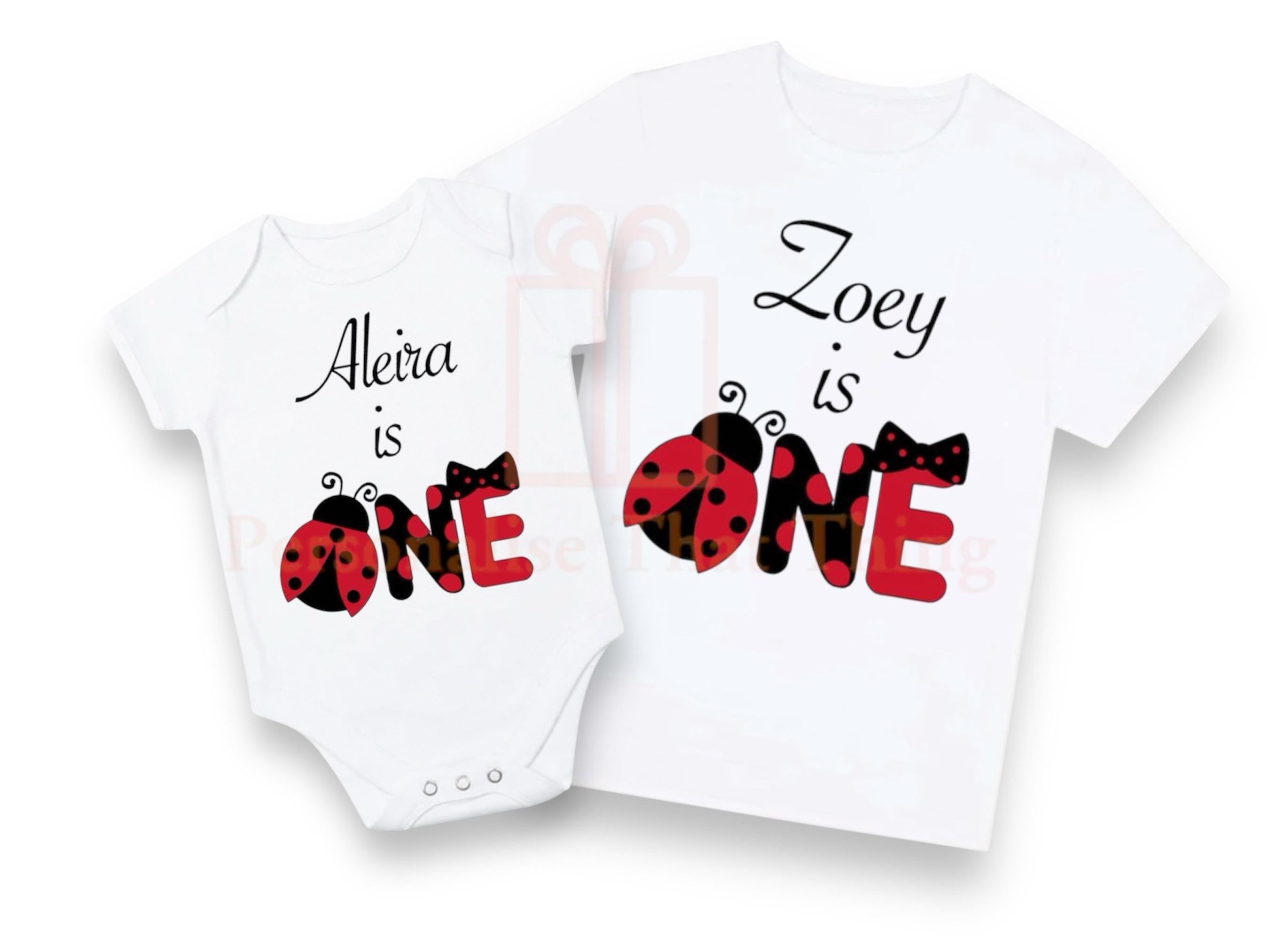 1st birthday ladybird baby bodysuit or tshirt