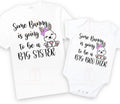 Some bunny is going to be a Big brother / sister pregnancy announcement baby bodysuit outfit / tshirt