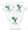 Dinosaur big / middle / little brother brothersaurus  announcement Tshirt / baby onesie