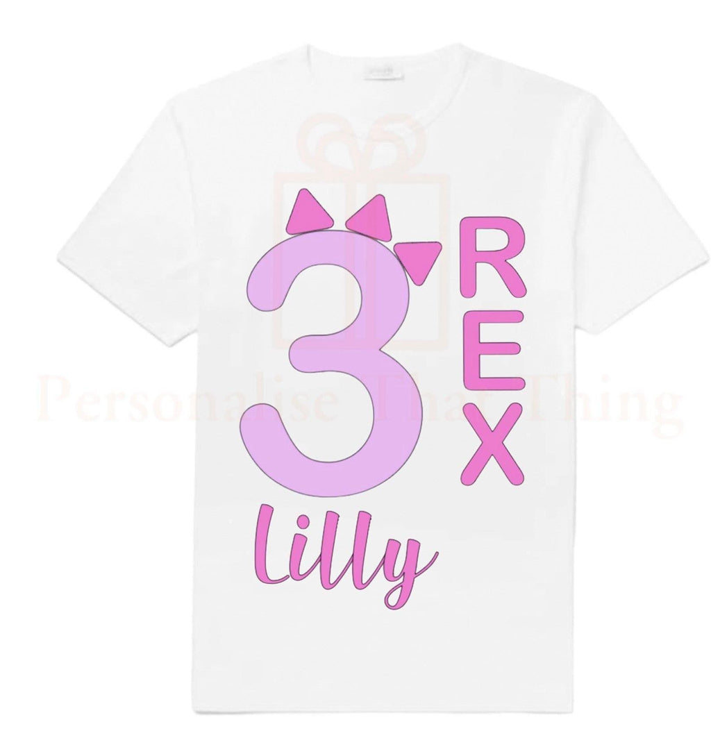 Dinosaur personalised matching family birthday 3 REX third birthday tshirts